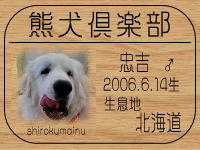 �I�[�i�[�́A���g�}�}����ł���